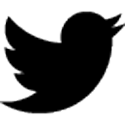 follow us on twitter